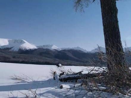 七夜雪中的霍展白绝美 七夜雪中霍展白喜当爹