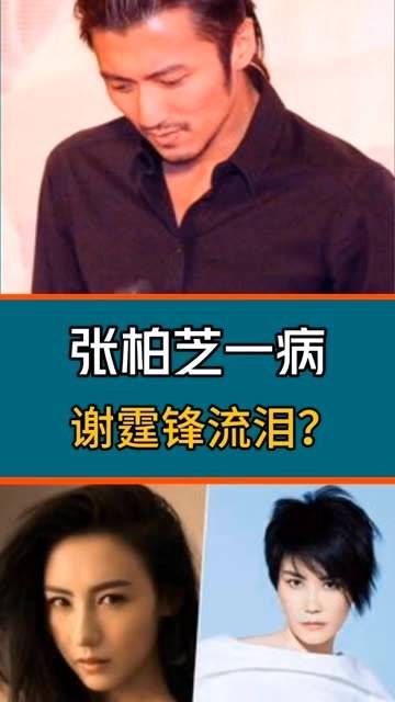 网友透露谢霆锋似乎觉得欠张柏芝太多,连旁边的王菲也难以安慰