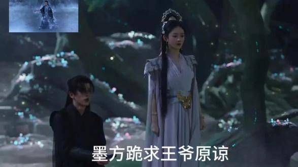 墨方恳求王爷宽恕,墨方这一生实在太过悲惨