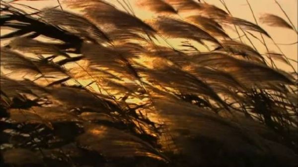 二十多年前剧的片尾曲,听完这首歌想哭