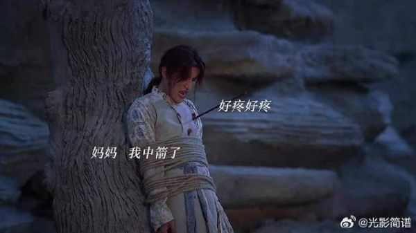 一枝花不过是孤独的流浪猫罢了,只能通过玩游戏的方式让别人关心他