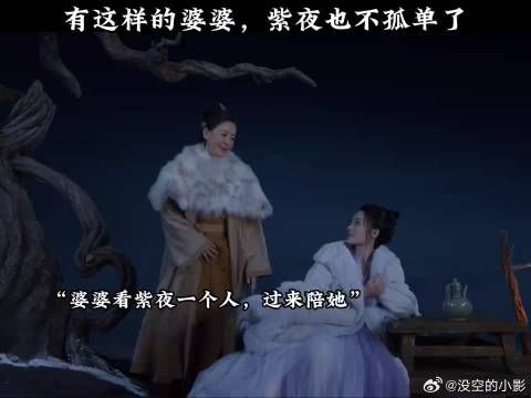 有这样的婆婆,紫夜也不孤单了
