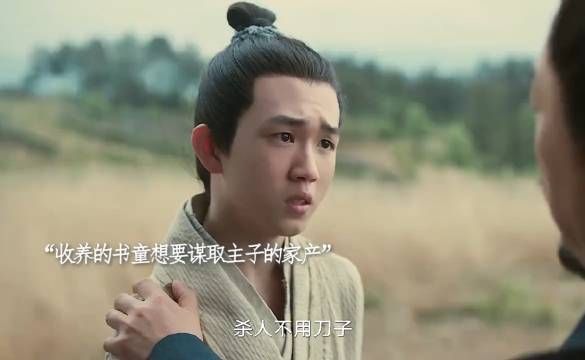 杀人不用刀子,夺财没有官司!收养书童看似普通,实则心思最深