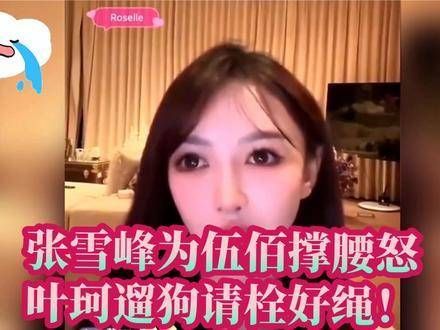 叶珂直播言论引发热议,伍佰宽容回应,张雪峰直言:遛狗务必栓绳