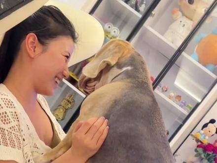 狗看到电视里的人想要拥抱,于是它也想要拥抱
