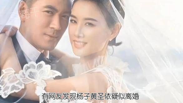 杨子与黄圣依在婚变传闻后首次同框,全程未有交流,气氛颇为尴尬