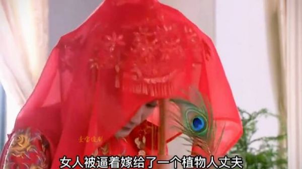 女人被逼嫁给一个植物人丈夫,结果新婚第一天就被当众羞辱