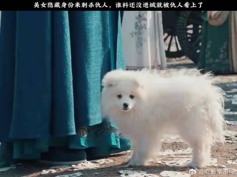 美女隐藏身份来刺杀仇人,谁料还没进城就被仇人看上了