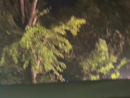 披哥下班,不虚此行,真是累到不行