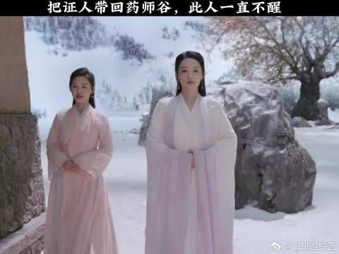 把证人带回药师谷,此人一直不醒
