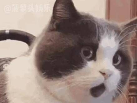 女版的 张起灵 真是太熟悉了!我西姐不就是女版的 张起灵 吗!