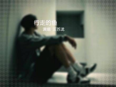 《行走的鱼》众人皆爱你的光芒…