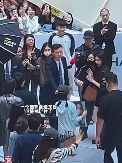 如果你也爱着白鹿，即使隔着屏幕也能感受到那份幸福（不妨评论“白鹿”）