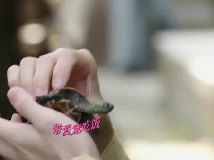 这么幽默的堂兄,你心动了吗?! 何奉天 幽默