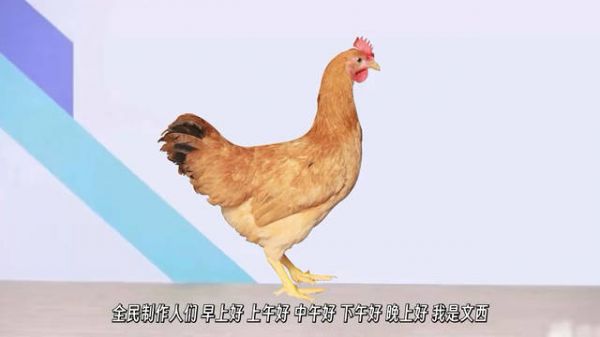 国产神剧白酒文化震惊老外，这剧情神金啊哈哈哈哈哈