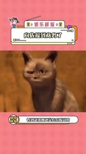 所以说黑红也是红,向佐是不是要转型走搞笑路线了?