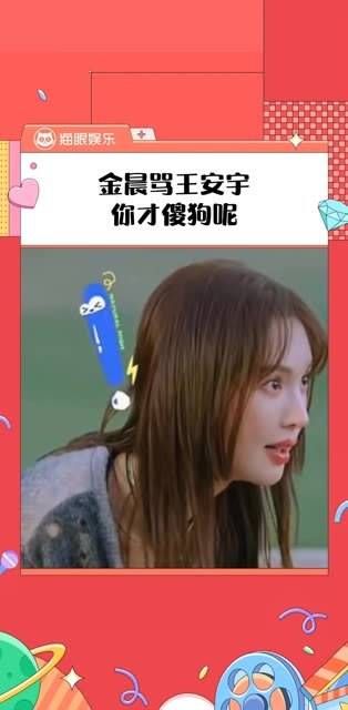 金晨:王安宇我看你更像傻狗!