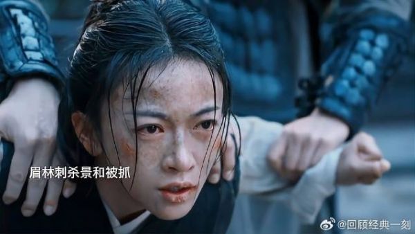眉林刺杀不成功反被王爷抓住!