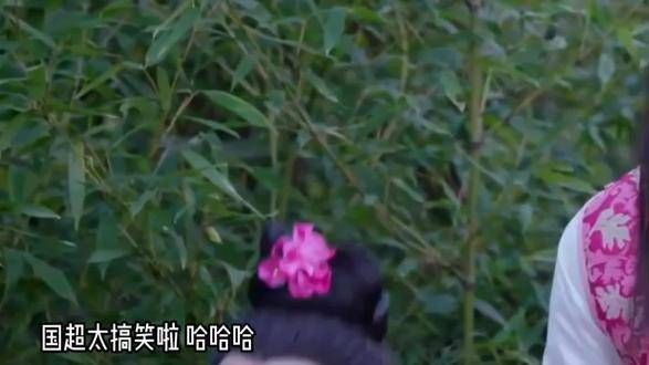 哈哈哈哈国超真是太搞笑了,演技炸裂 每看一遍都笑一遍