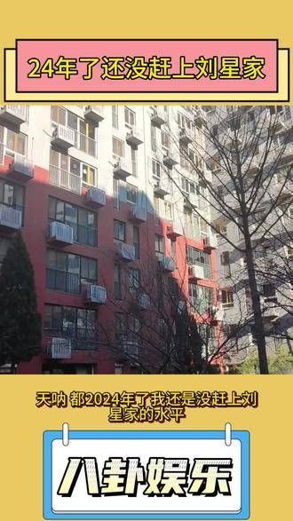 天哪,都2024年了,还是没能赶上刘星家的水平