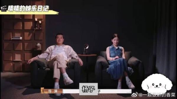黄圣依为什么想离婚?因为杨子总是打压她