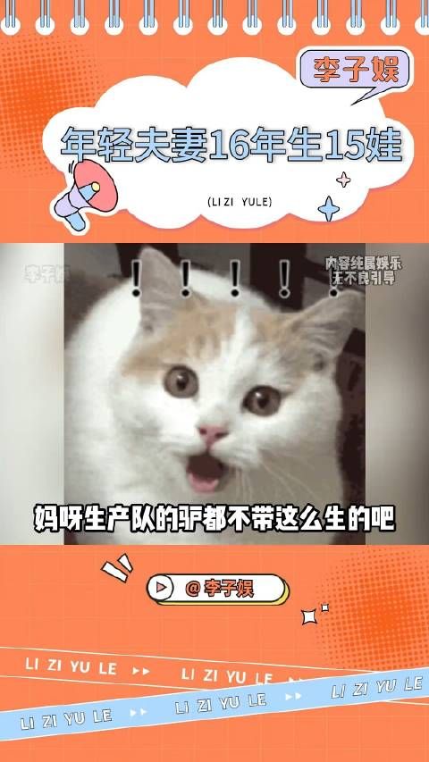 看得我小脑都萎缩了 炸裂 离谱 生育