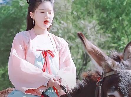 精彩剧情,赵露思 笑死我了…