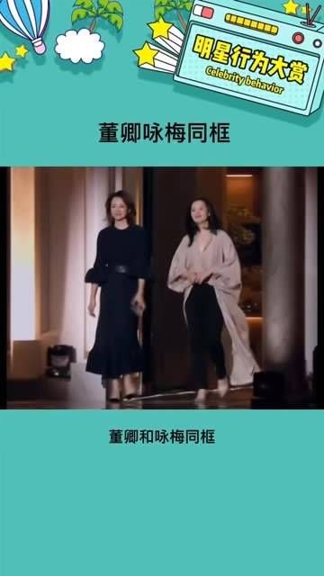 画面真的太美好了,温柔的气息仿佛要溢出屏幕~ 追星最前线 董卿