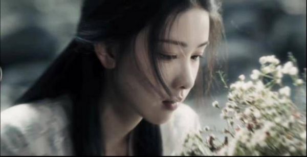 皎皎如轻云遮蔽明月,飘飘若旋风卷起雪花