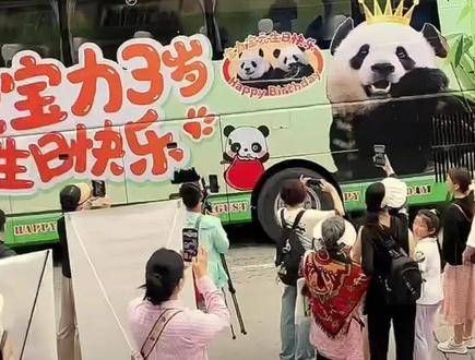 宝力和宝元生日快乐!熊生活顺利!排面十足!有这么多的人爱着他们!