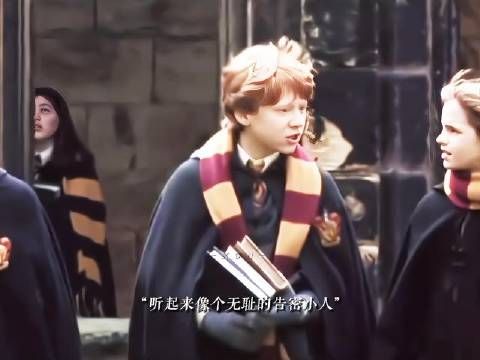 “罗恩:里德尔究竟是什么玩意儿?” ·韦斯莱