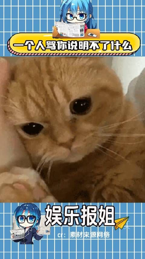 好神金的一条视频 搞笑