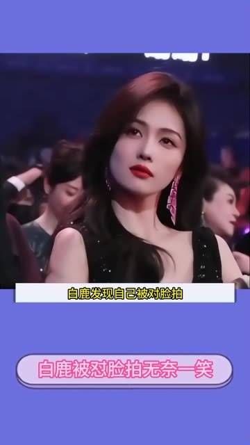 白鹿面对怼脸拍摄，无奈地笑了