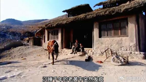 老牛为了让主人一家团聚,竟不惜付出自己的生命!