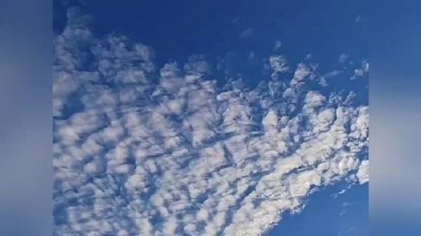 可怜天下父母心，每一位残疾人都值得被尊重！