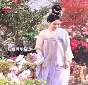 又一部S++大剧,杨紫这部大家觉得能爆吗?