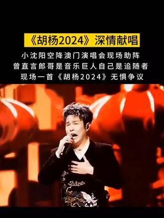 刀郎十年沉寂,阳仔十年相伴,如今亲临演唱会现场献唱兄弟情深