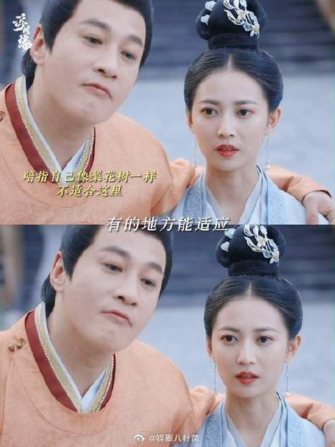 从前只当那场梨花雨是属于肖步活了的顶级浪漫…