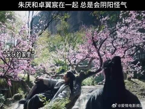 朱厌和卓翼宸在一起,总是会阴阳怪气
