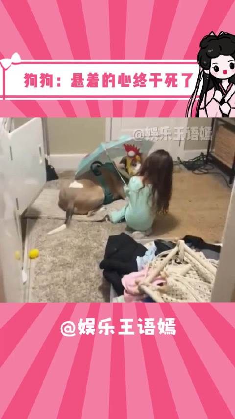 狗:真是有其女必有其母!