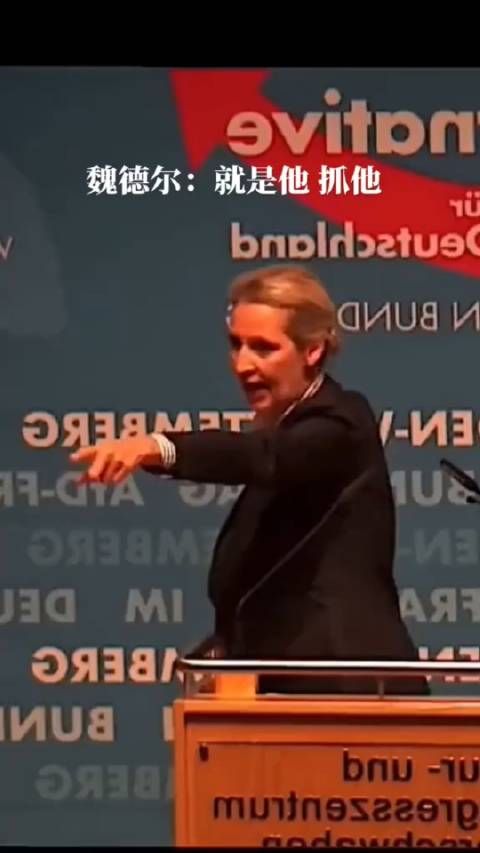 霸气女强人,魏德尔