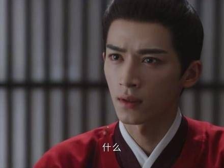 长公主对沈玉容的情感真挚无比，当他入狱后，长公主因爱生恨，疯狂报复阿狸…
