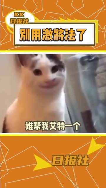 男人们的胜负心驱使他们不得不接受激将法, 赵露思