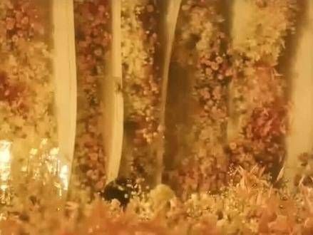 事后感觉这场婚姻让人如此不适啊,事实证明,对你好的人未必就是最适合你的