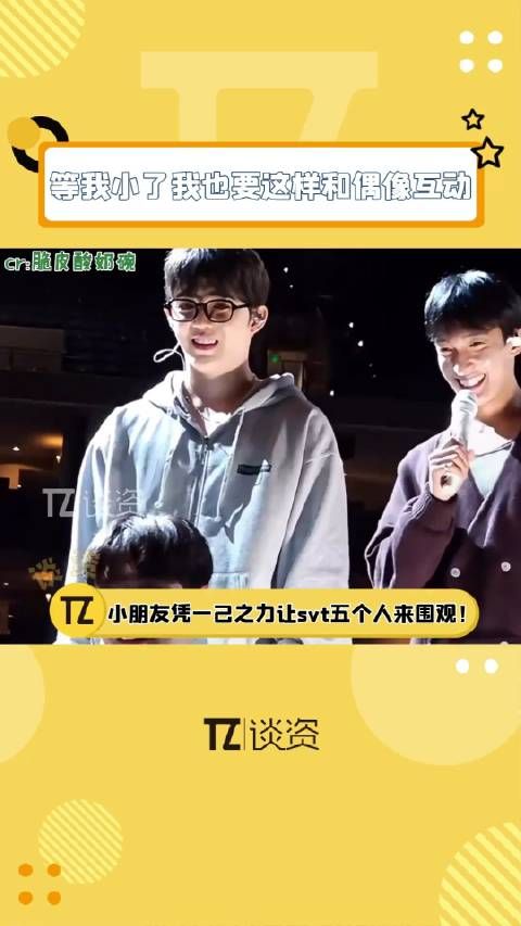等我小了也要去seventeen演唱会和他们这样互动!
