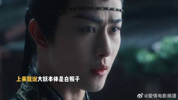 郑重的说一次,是猿不是猴!
