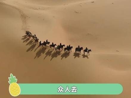 众人离去,唯有端午独自归返 珠帘玉幕 赵露思 赵露思