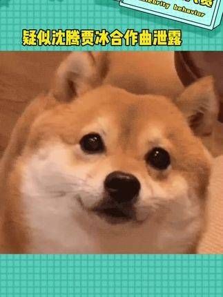 疑似沈腾与贾冰的合作曲目泄露了!