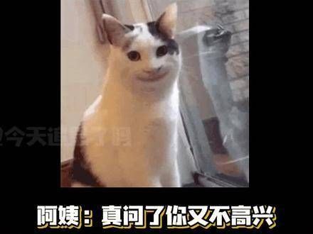 阿姨:真的问了你又不开心! 素材来源