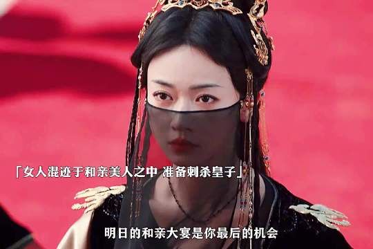 和亲之日,化身美人上演刺杀,只为报当年之仇!